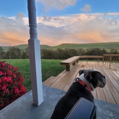 Ridgeview Retreat | Views, Pets & Game Barn