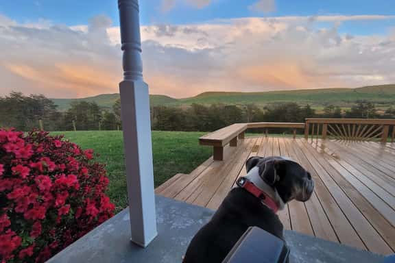 Ridgeview Retreat | Views, Pets & Game Barn - Image 1