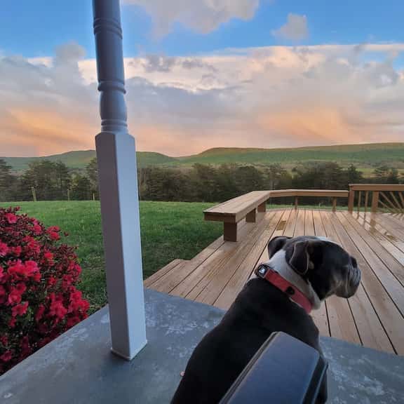 Ridgeview Retreat | Views, Pets & Game Barn - Image 1
