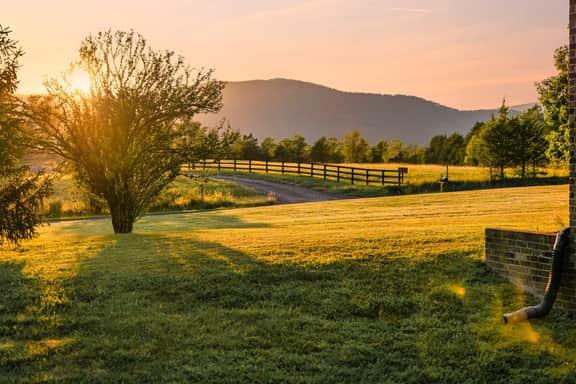 Skyward Shenandoah | Near Vineyards + Skyline Dr - Image 2